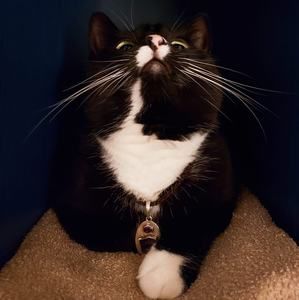 Meet your Posher, Tsai